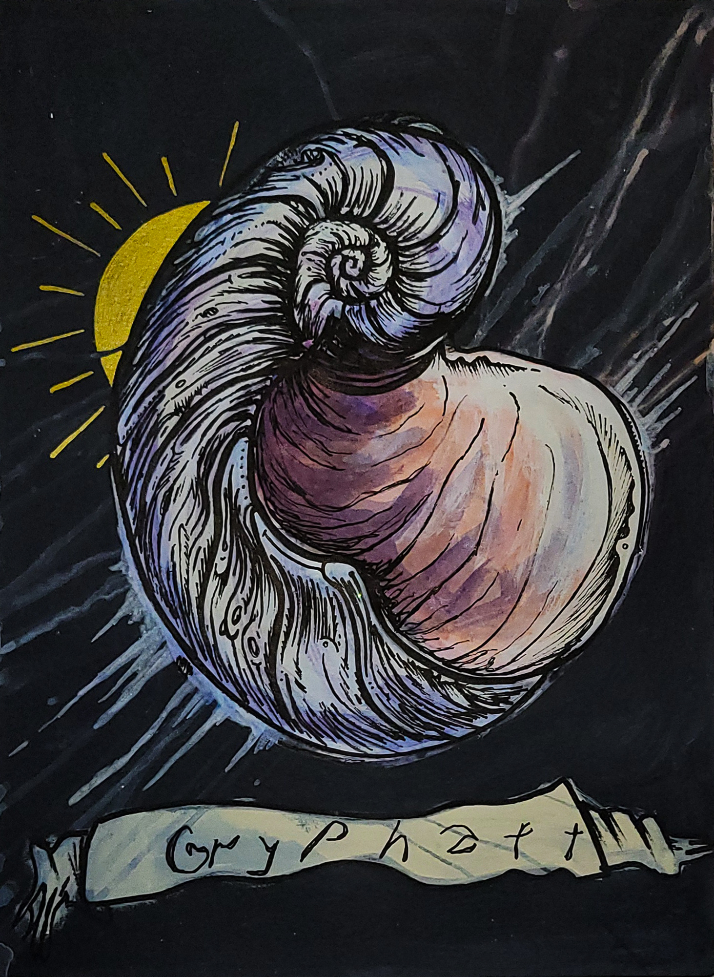 Gryphaea