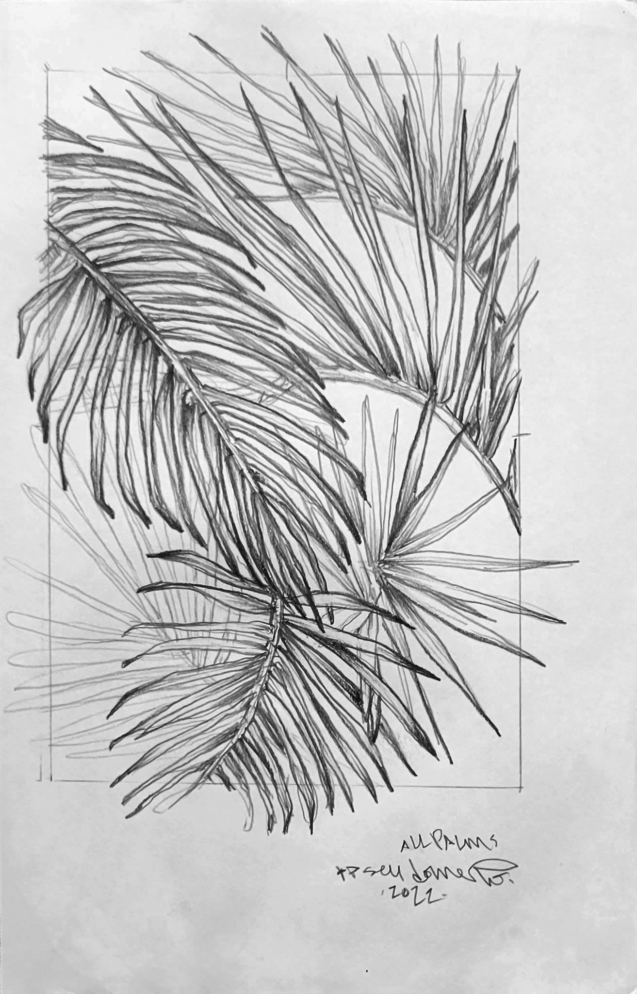 All Palms