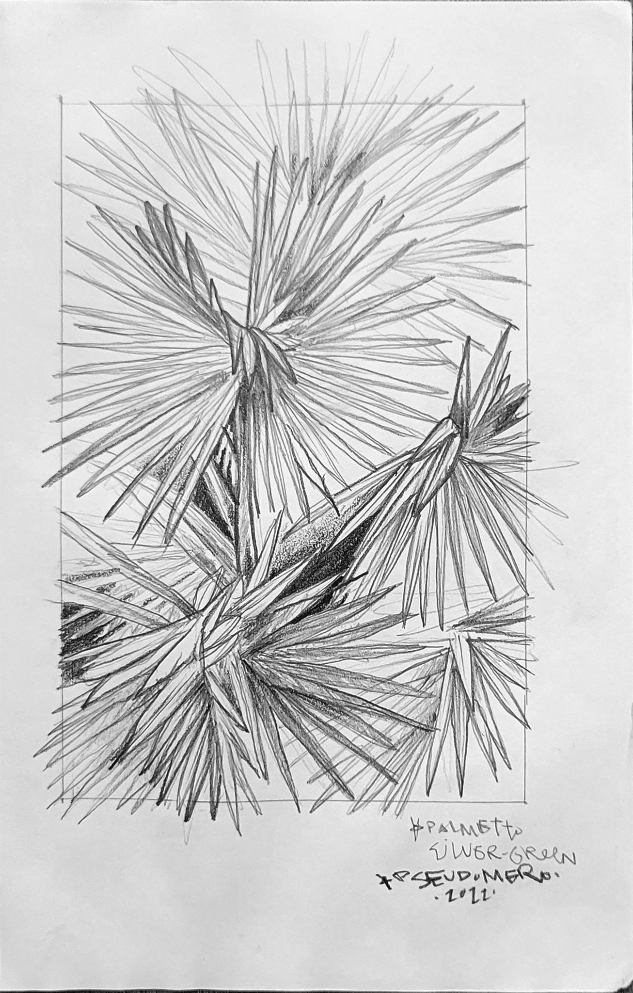Palmetto Silver Green