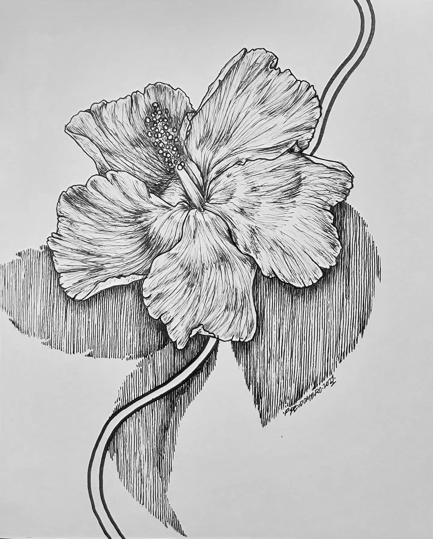 Flor de Maga