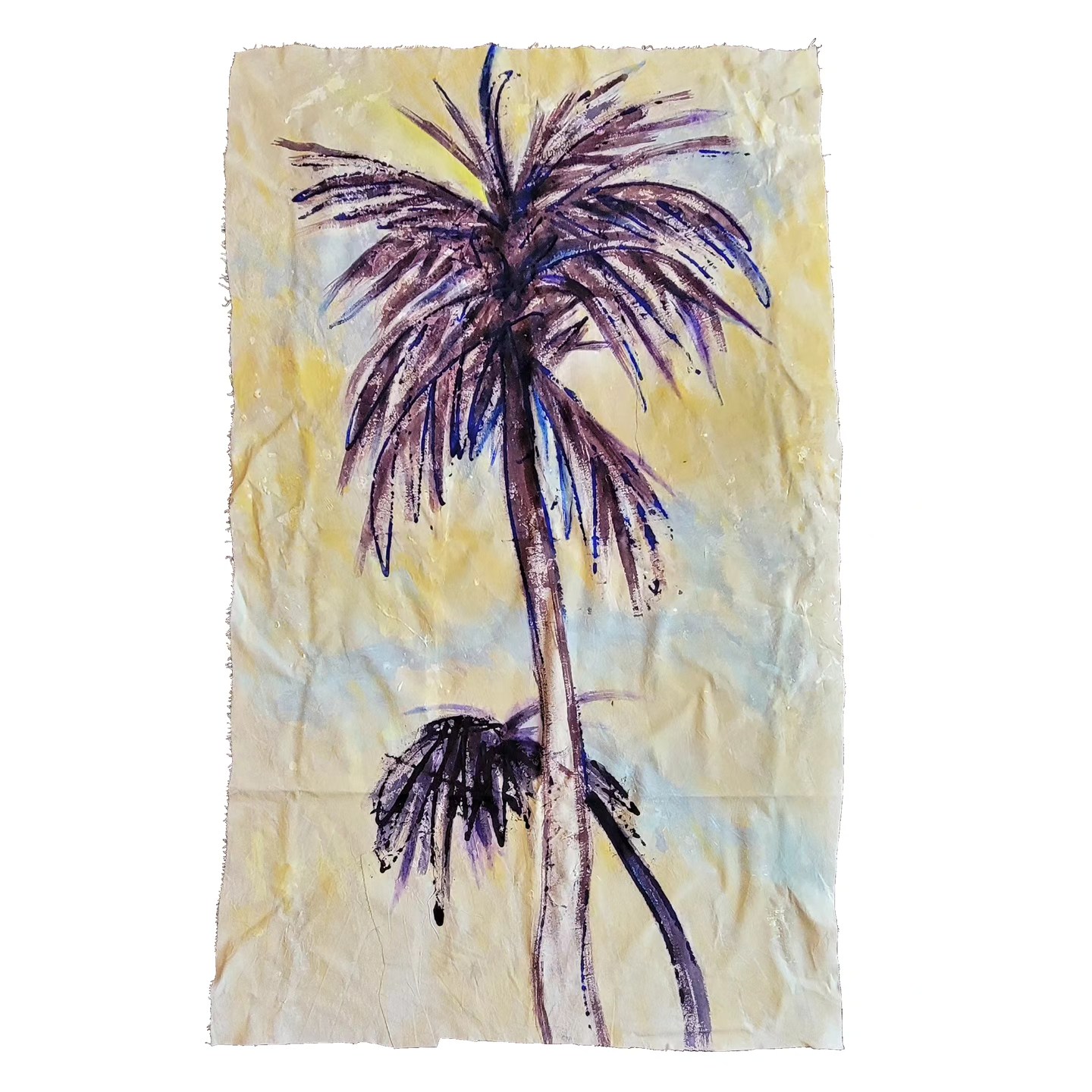 Cocos Nucifera, Ft Myers
