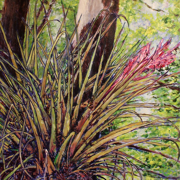 Bromeliando
